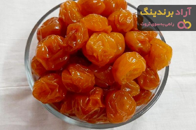 قیمت آلو زرد خورشتی مراغه + خرید و فروش آلو زرد خورشتی مراغه عمده