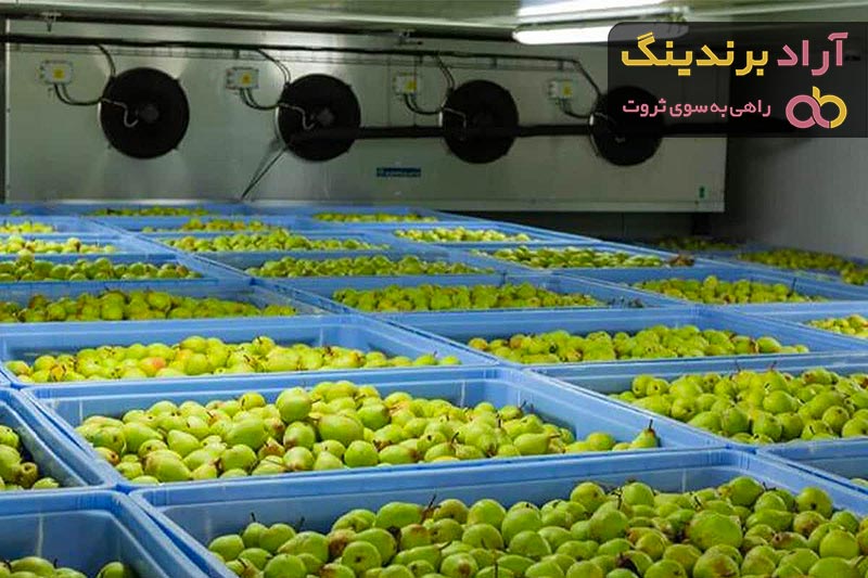 خرید جدیدترین انواع سردخانه میوه کوچک