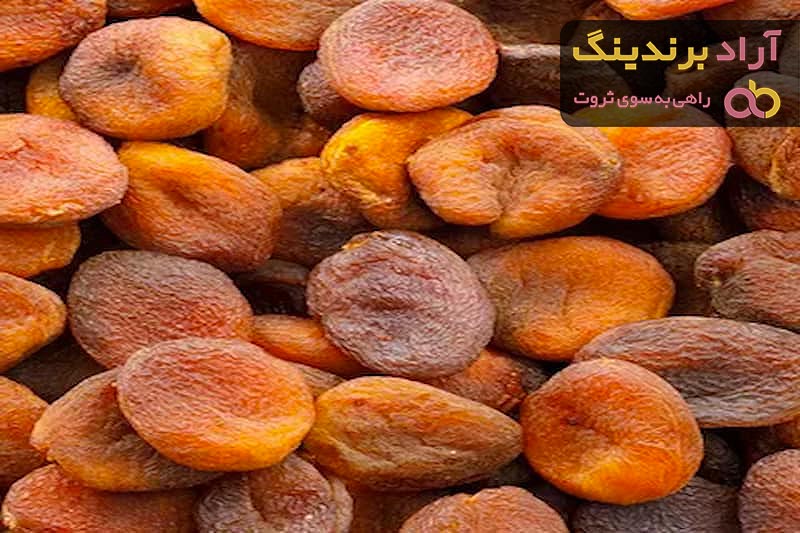 زردآلو خشک برای چی خوبه + قیمت خرید