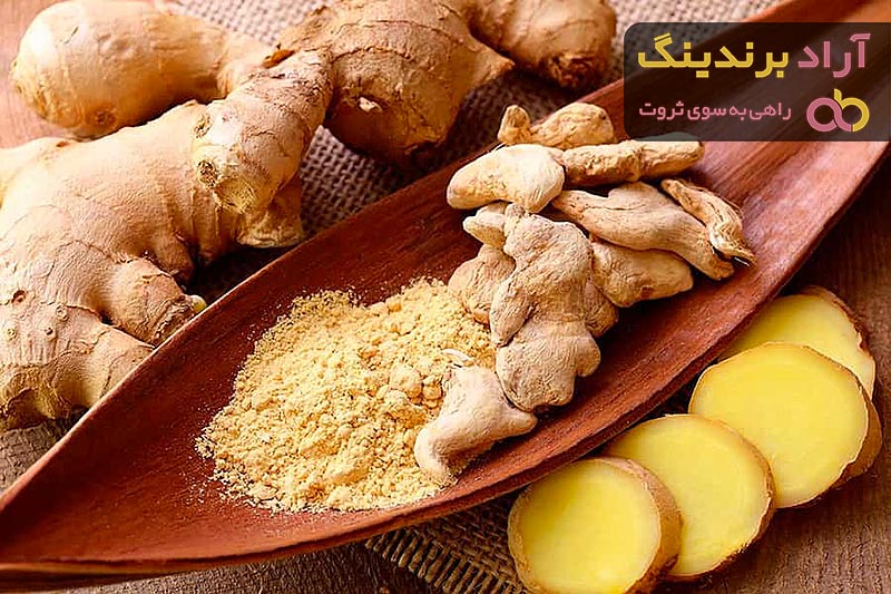 معرفی انواع زنجبیل کوهی + قیمت خرید روز