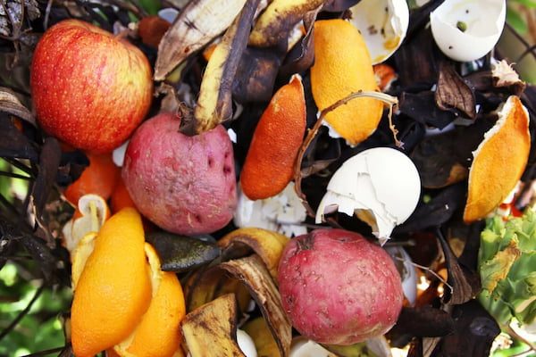 قیمت تفاله میوه برای دام + خرید و فروش  تفاله میوه برای دام عمده