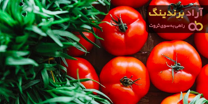 خرید بهترین انواع گوجه فرنگی ربی با قیمت ارزان