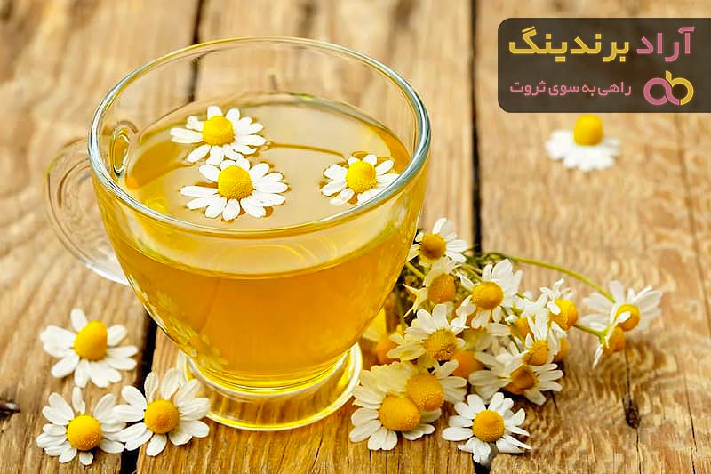 خرید جدید ترین انواع بابونه خشک با قیمت مناسب