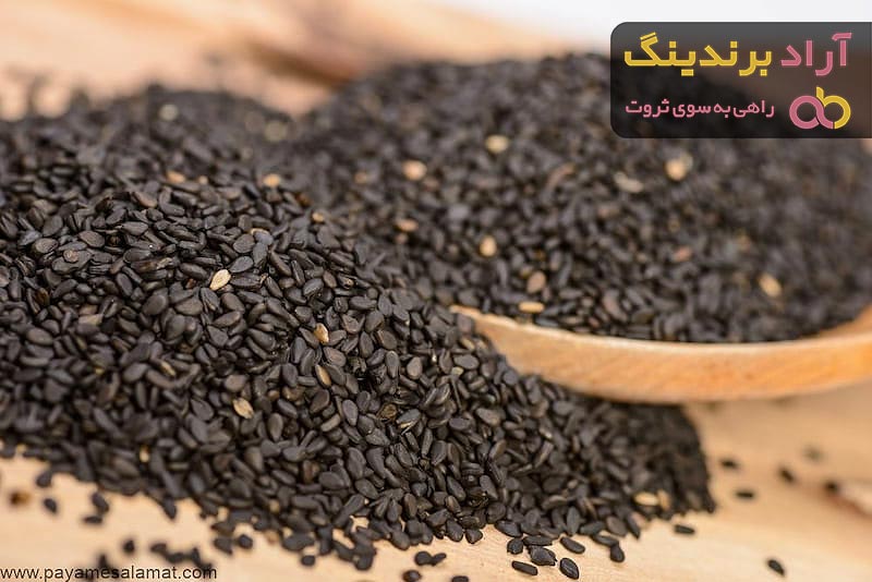 نخود سیاه | فروشندگان قیمت مناسب نخود سیاه