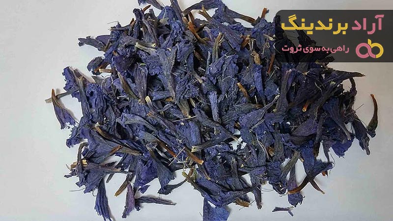 دمنوش گل گاوزبان ایرانی + قیمت خرید، کاربرد، مصارف و خواص