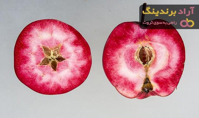 معرفی انواع سیب توسرخ + قیمت خرید روز