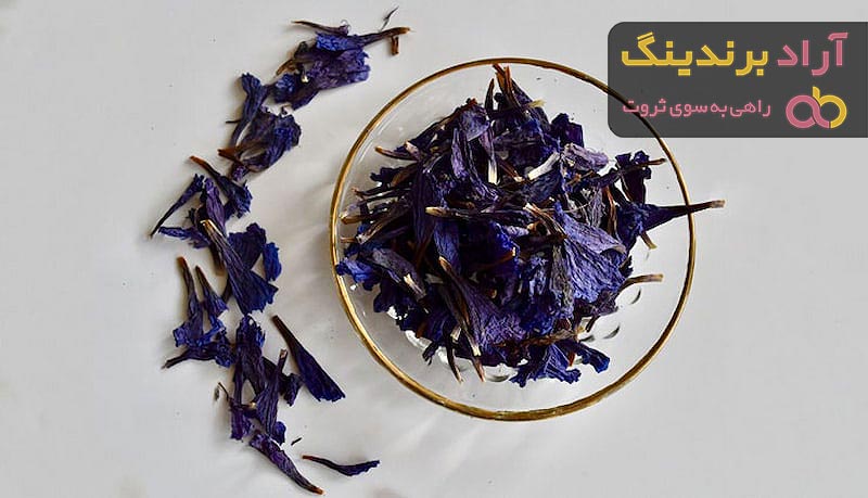 گل گاوزبان | فروشندگان قیمت مناسب گل گاوزبان