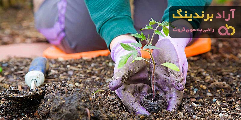 خرید بهترین انواع دستکش کار باغبانی با قیمت ارزان