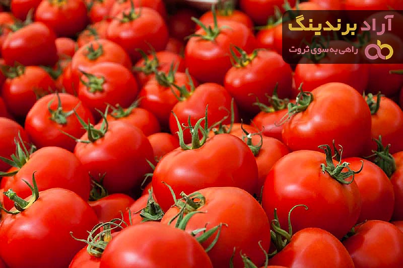 قیمت خرید گوجه فرنگی صادراتی اصفهان در ایران