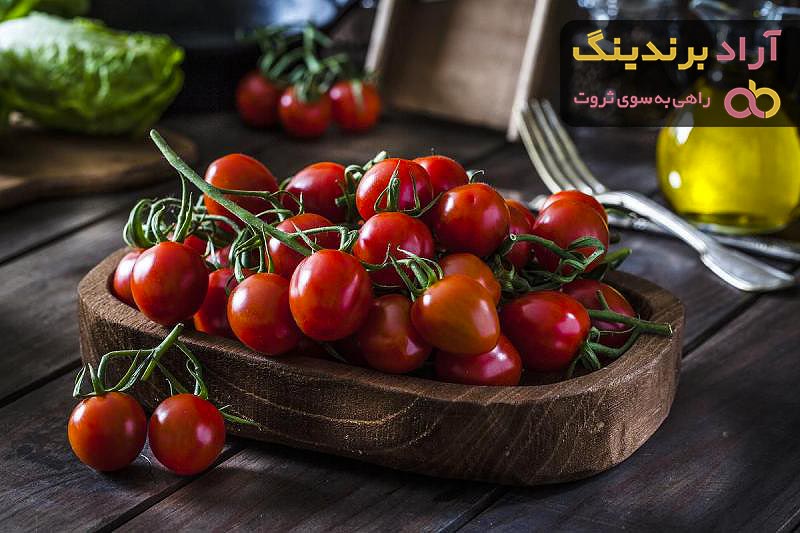 قیمت و خرید گوجه فرنگی ترش مزه + فروش ارزان