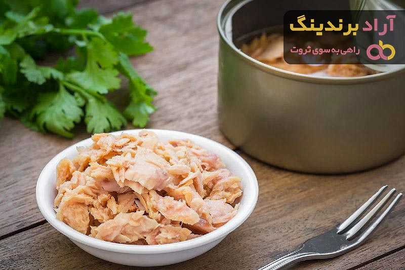 قیمت  کنسرو تن ماهی + خرید و فروش  کنسرو تن ماهی عمده