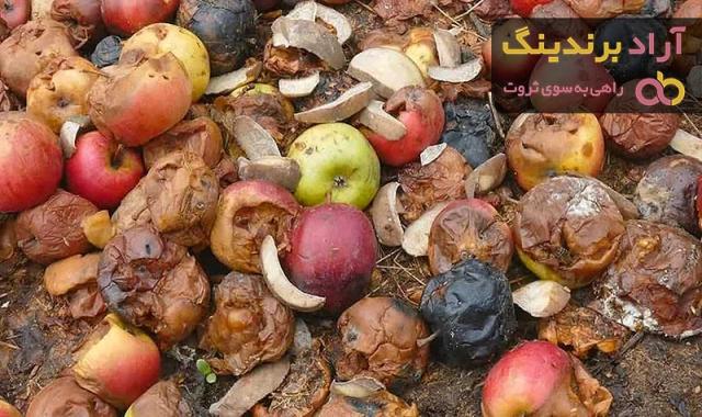 خرید بهترین انواع تفاله مرکبات با قیمت عالی