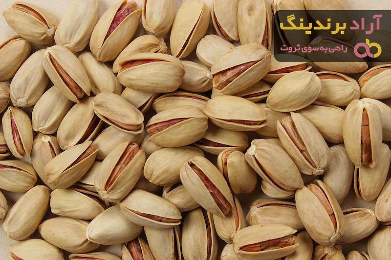 لیست قیمت پسته اکبری پیوندی ۱۴۰۱