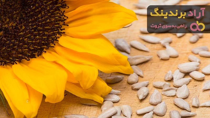قیمت مغز تخمه آفتابگردان بو داده + پخش تولیدی عمده کارخانه