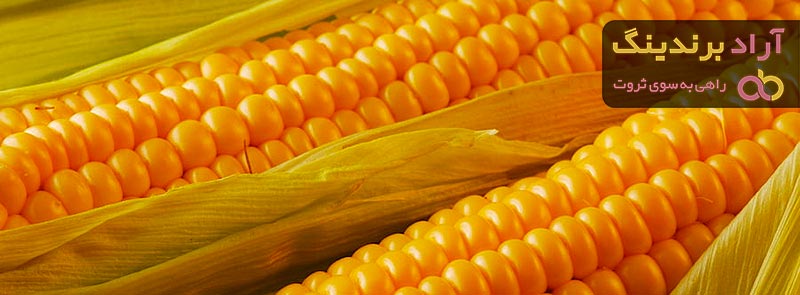 ذرت علوفه ای بسته بندی  | خرید با قیمت ارزان