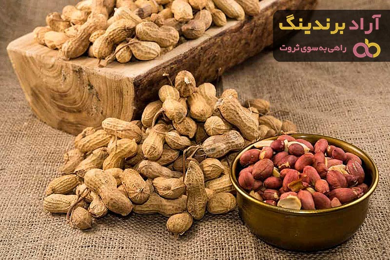 قیمت بادام زمینی فله ارزان