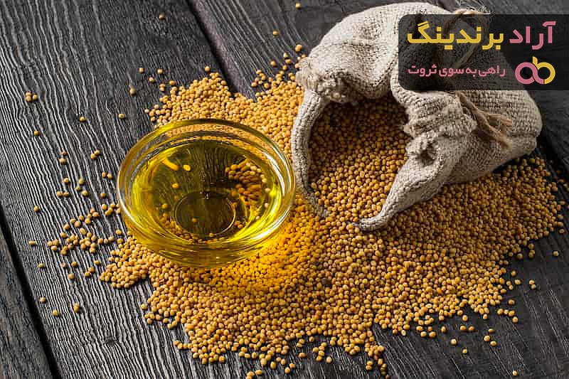 دانه کلزا برای مرغ + قیمت خرید