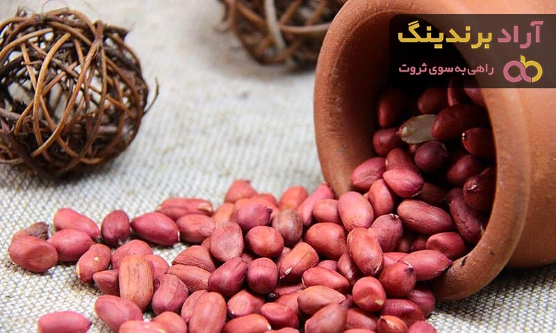 قیمت روز بادام زمینی