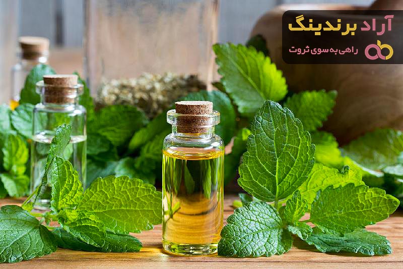عرق نعنا دو آتیشه اصل | قیمت مناسب خرید عالی