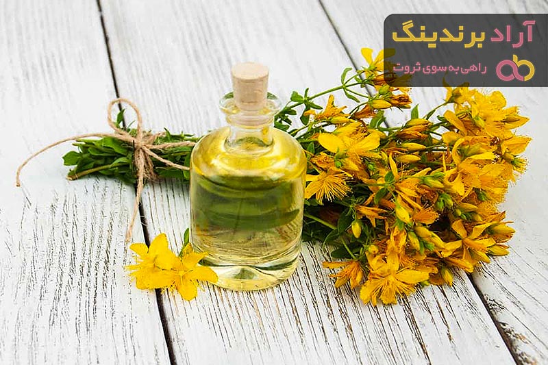دانه کلزا چه خاصیتی دارد + قیمت خرید