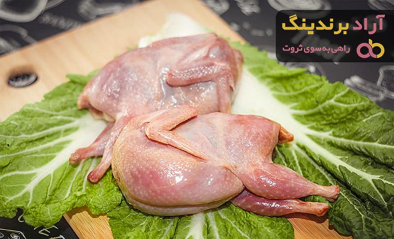 گوشت بلدرچین گرم یا سرد + بهترین قیمت خرید