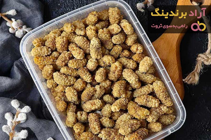 قیمت و خرید شاه توت خشک شده + فروش ارزان