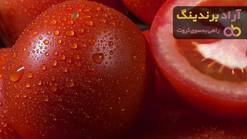 خرید و قیمت روز بذر پربار گوجه فرنگی
