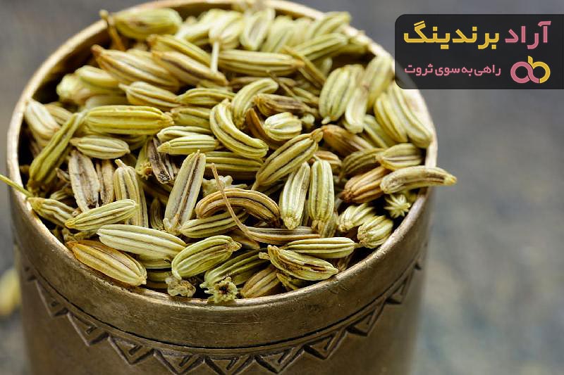 خرید و قیمت انواع رازیانه بسته بندی شده