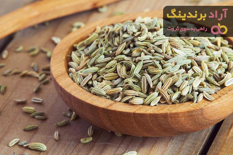 رازیانه سبز برای چی خوبه + قیمت خرید