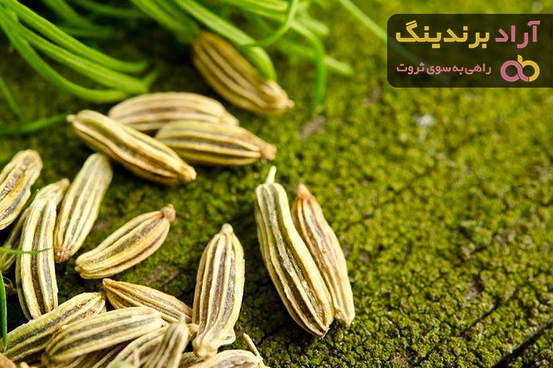 خواص رازیانه ی سبز + قیمت خرید