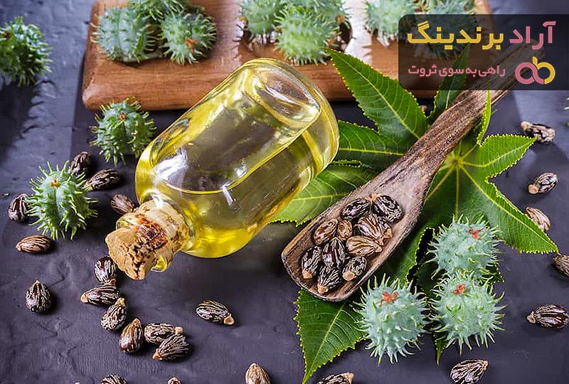 روغن کرچک تقویت مژه + قیمت خرید