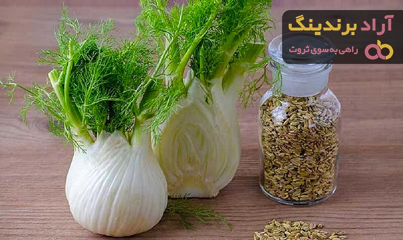 خرید و قیمت روز گیاه رازیانه کوهی