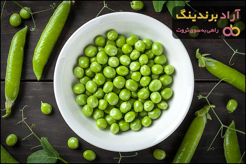 قیمت نخود فرنگی اتابک + مشخصات بسته بندی عمده و ارزان