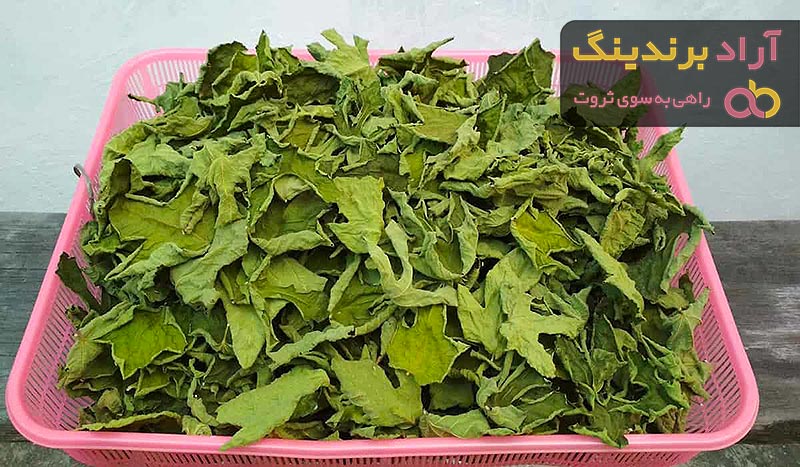 قیمت خرید برگ چغندر سبز + خواص، معایب و مزایا