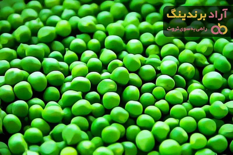 بهترین قیمت خرید نخود فرنگی درجه یک