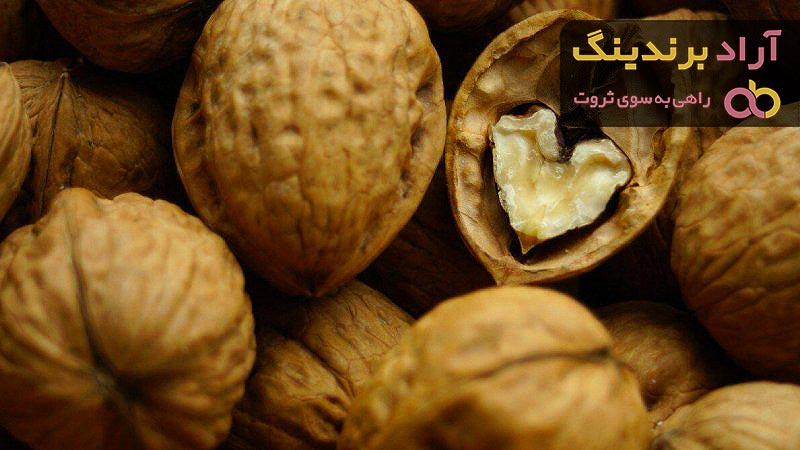 گردو تویسرکان صادراتی مرغوبترین و با کیفیت ترین مغز کرده