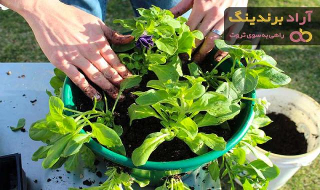 مناسب ترین قیمت سبد پلاستیکی انبار در دی ۱۴۰۱