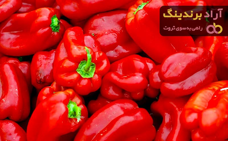 خرید و قیمت روز فلفل دلمه ای قرمز