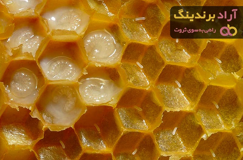 بهترین ژل رویال اصل + قیمت خرید عالی