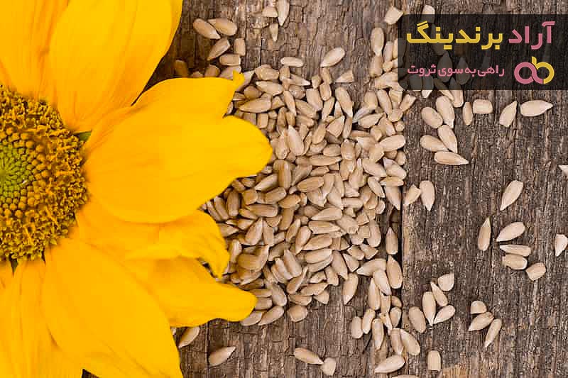 مشخصات مغز تخمه آفتابگردان + قیمت خرید