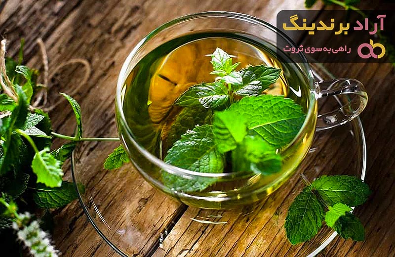 عرق نعنا فلفلی مدیترانه | خرید با قیمت ارزان