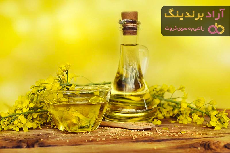 خواص دانه روغنی کلزا برای سلامتی بدن در طب سنتی