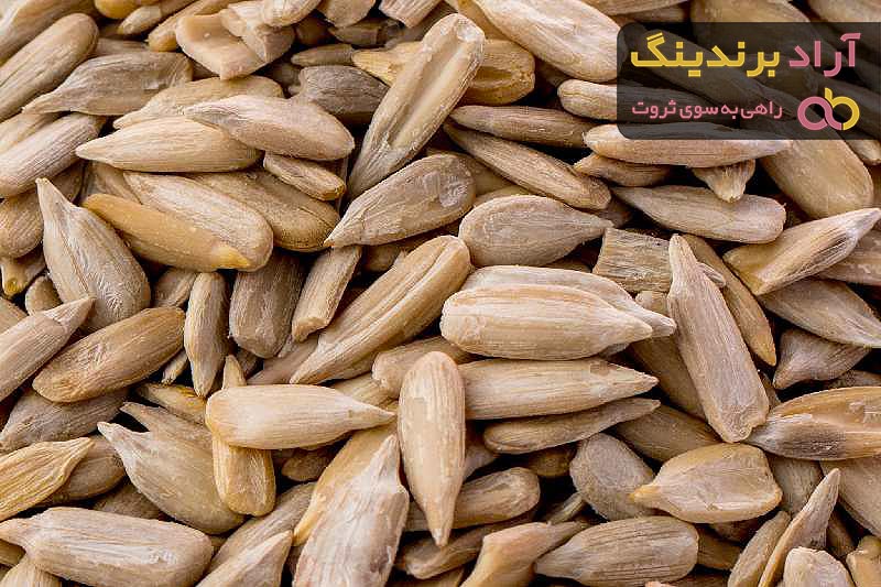 قیمت و خرید مغز تخمه آفتابگردان مزمز + فروش ارزان