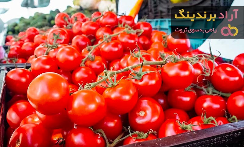 گوجه فرنگی محلی درجه یک ایلام + خرید