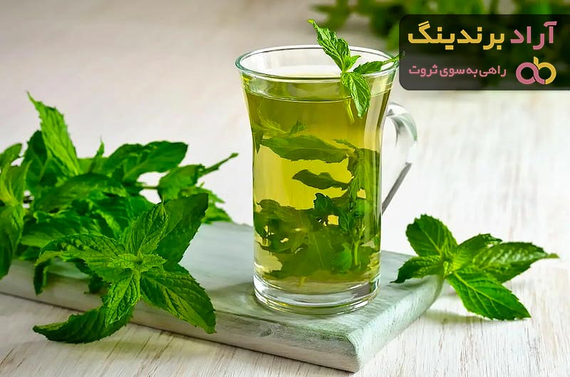 خرید عرق نعناع ۴ لیتری کاشان با قیمت استثنایی