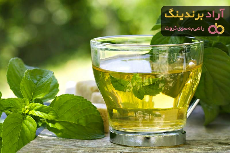 خرید عرق نعنا اصل کاشان + بهترین قیمت