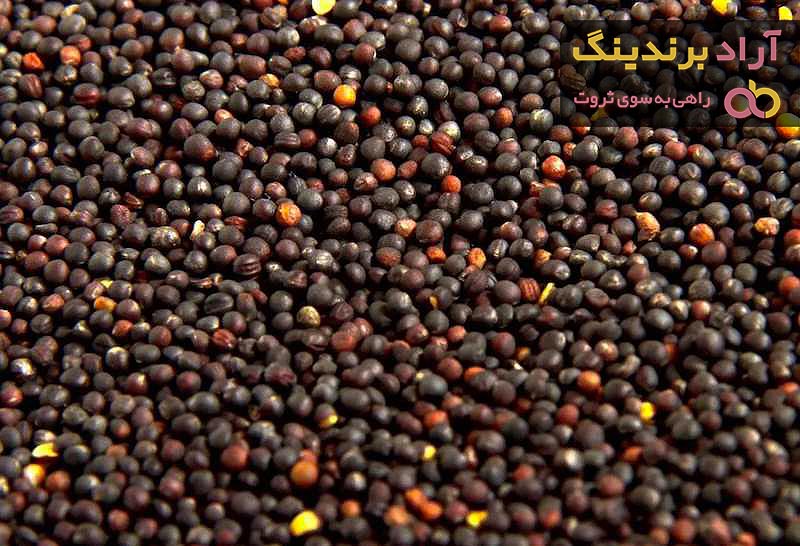 خرید دانه کلزا کیلویی + قیمت عالی با کیفیت تضمینی