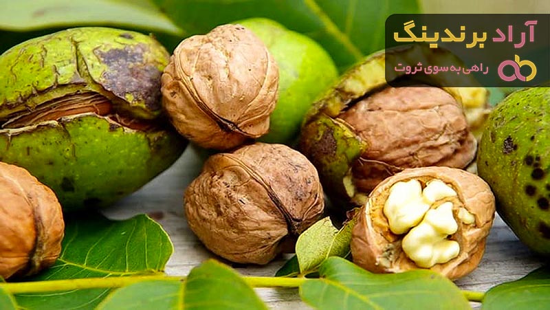 قیمت گردو پوست کاغذی + خرید و فروش عمده