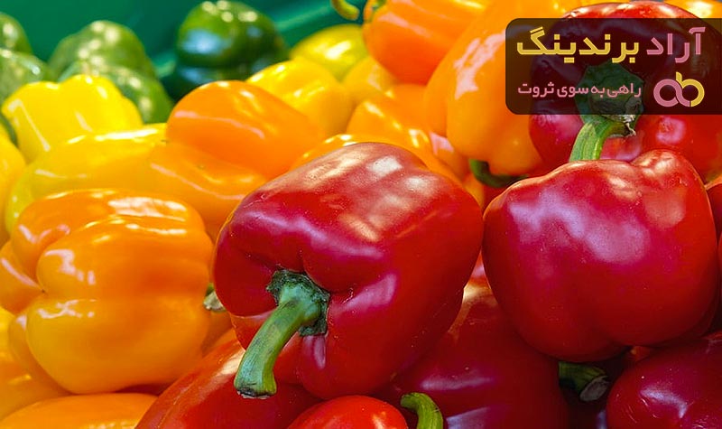 قیمت فلفل دلمه ای دستچین از تولید به مصرف