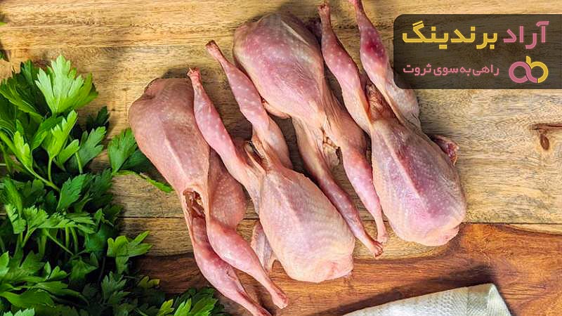 خرید گوشت بلدرچین برای نوزاد + بهترین قیمت